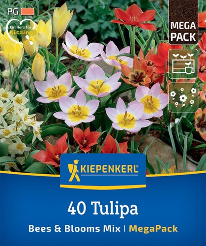 Kiepenkerl bees blooms mix - kiepenkerl,
