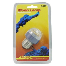 Lucky reptile moon lamp - lucky, reptile-moon