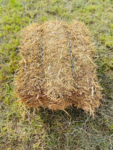 Stroh 15kg strohballen - ca.15kg,