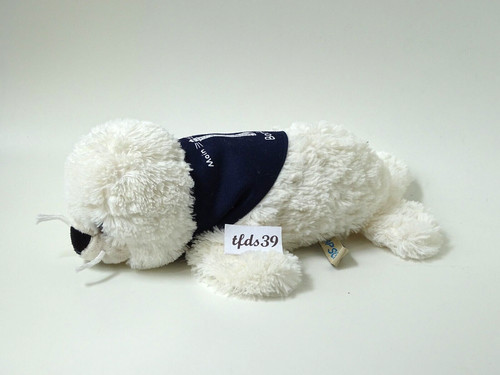 Flapsch seehund robbe - robbe, heuler
