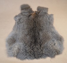 Kaninchen echt fell - echt, hasen