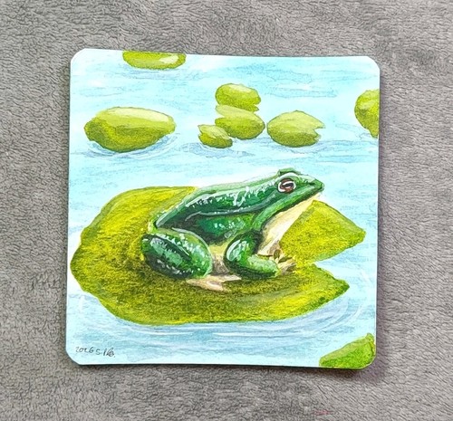 Aquarell frosch bild - aquarell,