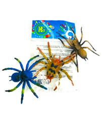 Spinne, verschiedene Farben