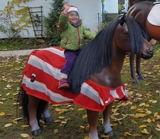 Pony lebensgroß 3D😉 Pferd