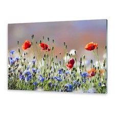 Glasbilder Wandbild Druck auf