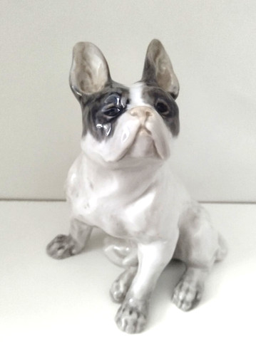 Französische bulldogge royal - französische,
