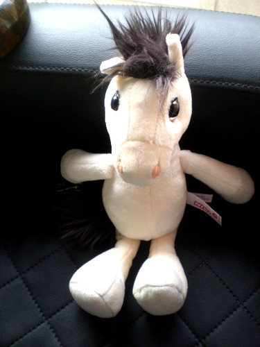 Nici pferd ayeta schimmel - pferd,