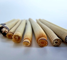 Leblanc Schachtelhalm Saxophonblatt Klarinettenblatt Oboeblatt Fagottblatt