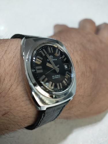 Rodania automatic rubine - rodania,