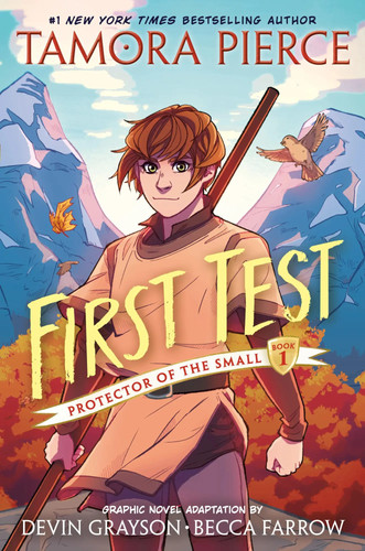 First test graphic novel - novel, (a