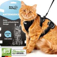 Katzen Geschirr Set MIT Leine
