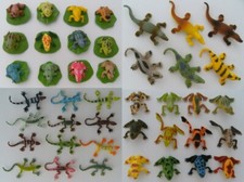 Frösche Eidechsen Krokodil