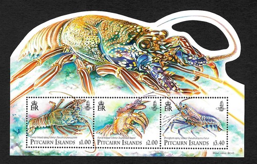 Pitcarin islands lobster - pitcarin, islands: