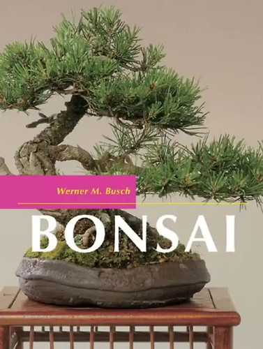Bonsai zustand sehr gut - bonsai,