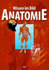 Anatomie. Wissen im Bild von E. G. de Bernabe | Buch | Zustand sehr gut