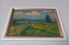 M. Seemann: Gemälde Bild Landschaft Öl auf Leinwand gerahmt