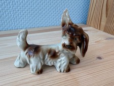 Süßer Porzellan Hund