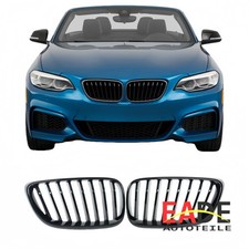 KÜHLERGRILL EINZELSTEG NIEREN