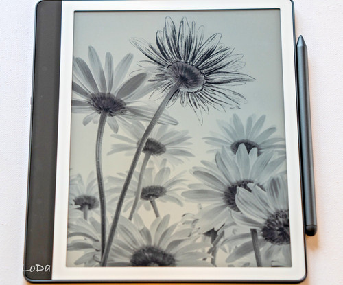 Kindle scribe mit - scribe, gb)mit