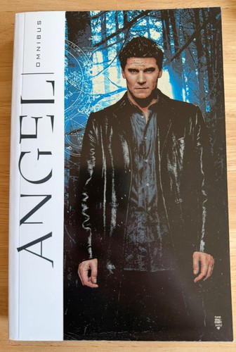 Comic idw angel omnibus - angel,