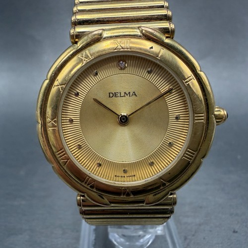 Delma watch men - 34mm, dial