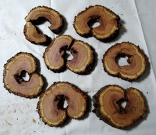 Hohle Baumscheiben Pflaume Set Holzscheibe Decko Basteln ca.15-19x15-16x1-3cm.N2