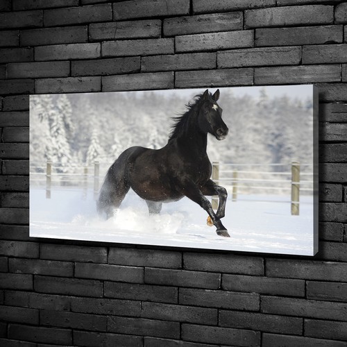 Leinwandbild kunst druck - leinwandbild, kunst-druck