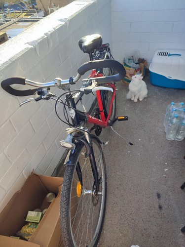 Fahrrad
