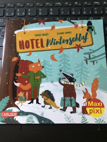 Maxi pixi hotel - pixi,