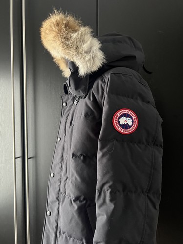 Canada goose carson - goose,