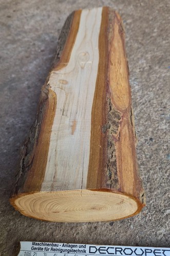 Thuja holz 32 12 - , 32*12*9