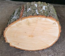 🌳 Baumscheibe von der