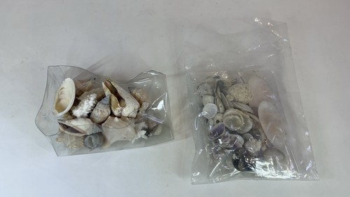 Muschelsammlung - , &