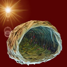 🐹 GRAS NEST HÖHLE 🐹 Nager Zubehör Hamster Meerschweinchen Haus Spielzeug Haus