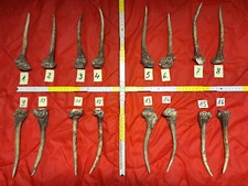 Hirschhorn Hirschgeweih