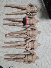 1/6 Scale Bodys
