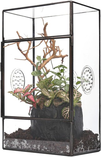 Glas terrarium für - glas,