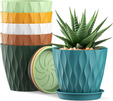 Blumentopf set 12cm mit - set,