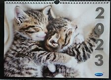 Katzen Kalender 2023 Kätzchen 12 tolle Fotos