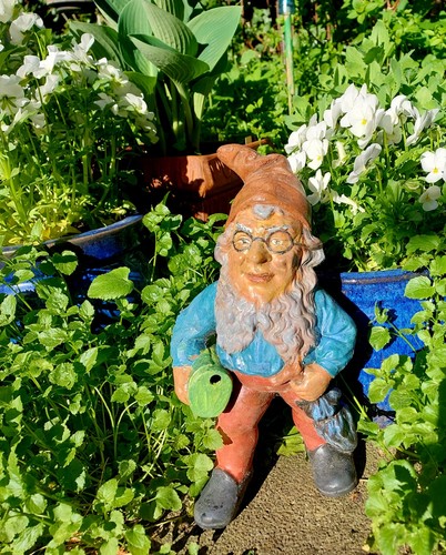 Alter gartenzwerg von hertwig - gartenzwerg,