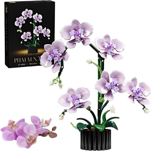 619stk orchidee blumen - 619stk,