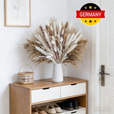 Pampasgras Getrocknet