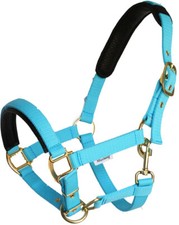 Mustang Tornado Halfter für