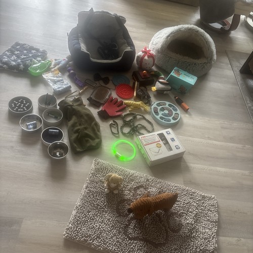 Hundezubehör leine - hundezubehör,