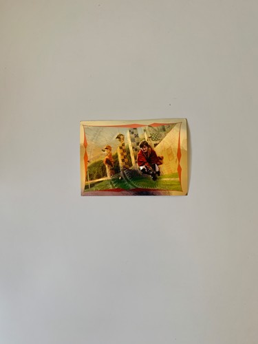 Harry potter panini - harry, sticker
