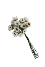 Gänseblümchen künstlich