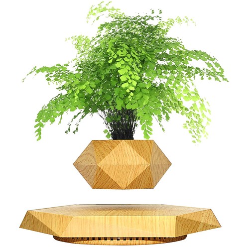 Levitating plant pot floating - levitating,