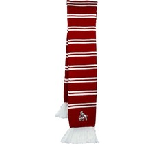 1. FC Köln Schal Clubschal