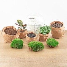 Flaschengarten - DIY Terrarium