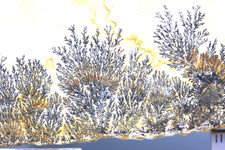 Dendriten, Mangan und Eisen, Solnhofener Plattenkalk, 19 cm (9-D)